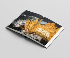 Adventures at the Edge of the World - The epic story of Tasmanian climbing